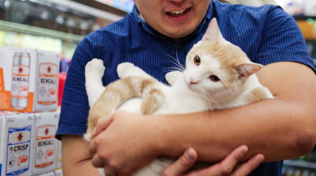 This is Charlie, who is okay with hugs but not too many. One per customer. <br>(Amy Pearl / WNYC)